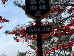 -罗田薄刀峰风景区