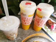 -伏小桃(明瓦廊店)
