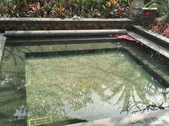 -厦门日月谷温泉渡假村