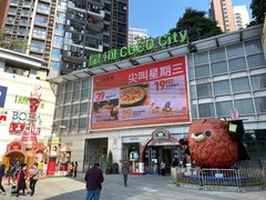 -深圳龙华星河COCO City(民治店)