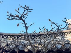 -水绘园