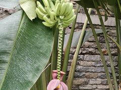 -济南植物园