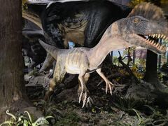 -湖南省地质博物馆