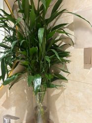 -美呈轻医美·无创抗衰中心