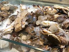 -九寸花汀(摩天活力城店)