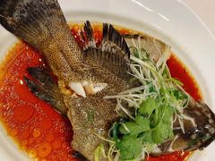 -潮濠城酒家(东山广场店)