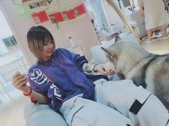 -Husky Go! 哈士奇体验馆·宠物咖啡厅狗咖