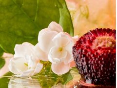 花魁杨梅·茉莉-混果汁(福田领展中心城店)