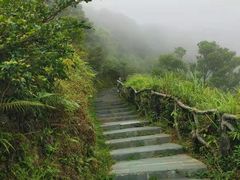 -梧桐山风景名胜区