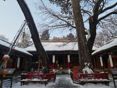 -少华山国家森林公园
