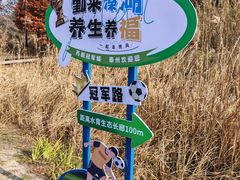 -溱湖国家湿地公园