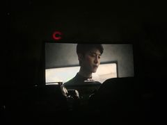 -枫花园汽车电影院(朝阳公园店)