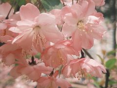 -西北湖绿化广场