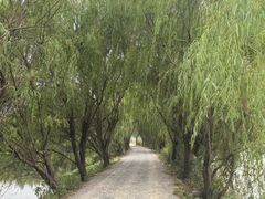 -鸣鹤古镇