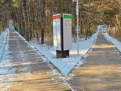 -帽儿山国家森林公园