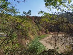 -青龙山国家森林公园