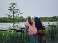 -昆山城市生态森林公园