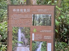 -姑婆山旅游区