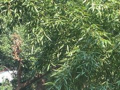 -一江春水·杭帮臻宴(三台山店)