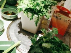 -润园四季椰子鸡火锅(海上世界店)