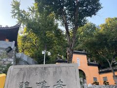-鸡鸣赐茶(鸡鸣寺路店)