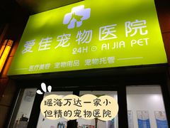 -爱佳宠物中心医院24H·CT·骨外科·猫专科(瑶海万达店)