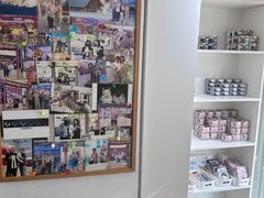 -青奢宠物·青奢猫舍