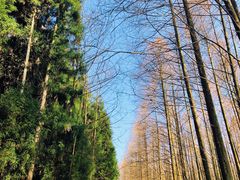 -山王坪喀斯特国家生态公园