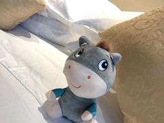 -苏州金鸡湖大酒店