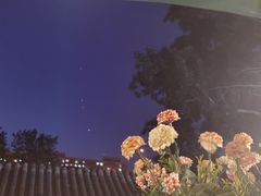 -Sirena海妖日咖夜酒