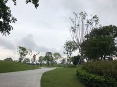 景点-深圳人才公园