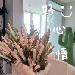 -姜美堂·蒸姜除湿の纤体美颜馆