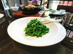 五粮液炒豆苗-北京四季酒店·采逸轩