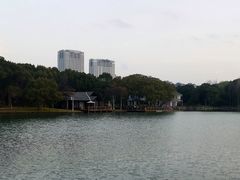-新洲生态园