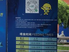 -上海海洋水族馆