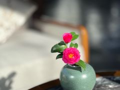 -广富林宰相府酒店·水云间