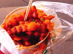 -周小亮丁家坡洋芋(全国总店)