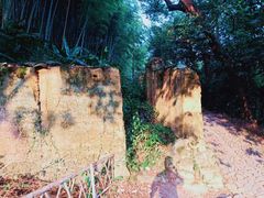 -杨家堂村