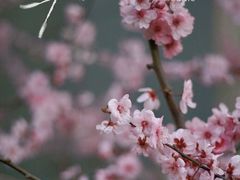 -静安雕塑公园