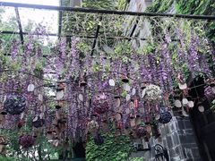 -得丘礼享谷·玉兰苑