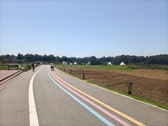 -空港花田景区