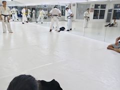 -极真空手道修远道场