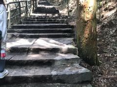 -东天目山风景区