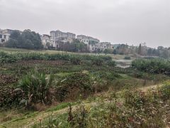 -两河城市森林公园