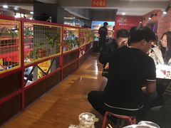 -大孩龙虾(体育场旗舰店)