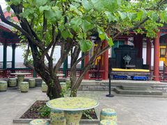 -宫事颐庭·老佛爷贵寿下午茶(颐和园店)