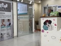 -谐和益家动物医院·免疫绝育·血液透析·宠保定点医院(高新伊藤分院)