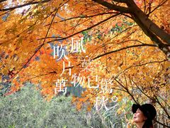 -黄公望隐居地