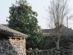 -许家山