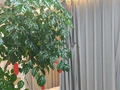 -麦悠悠·SPA·推拿(沈杜公路地铁站店)